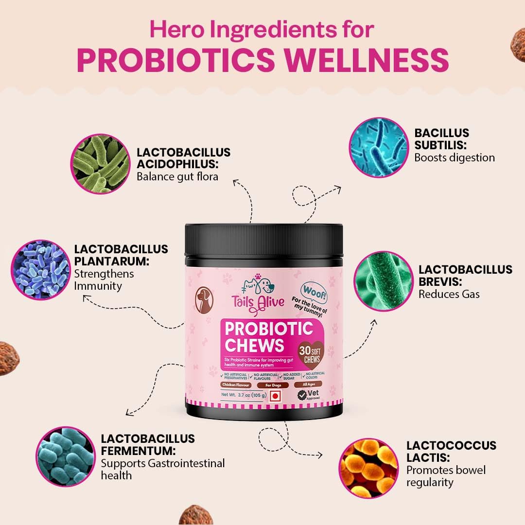 Probiotic Soft Chews Supplement for Dogs | Six Probiotic Strains for Gut Health & Digestion | Chicken Flavor | Supports Immune Function | 30 Soft Chews