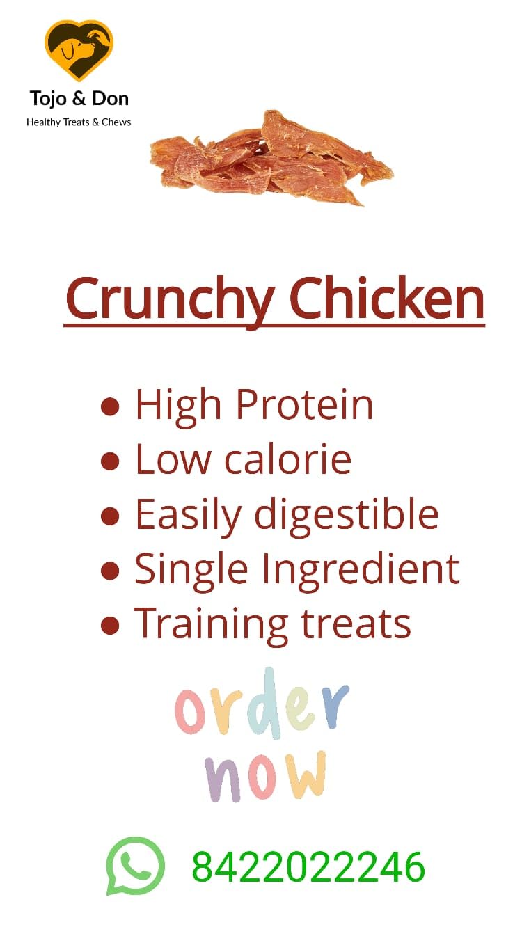 Tojo & Don Premium Crunchy Chicken Dog Treats, 100 g | 100% Natural Single-Ingredient Chicken | High-Protein Healthy Treats | No Preservatives | Vacuum Packed for Freshness | Dog Treats