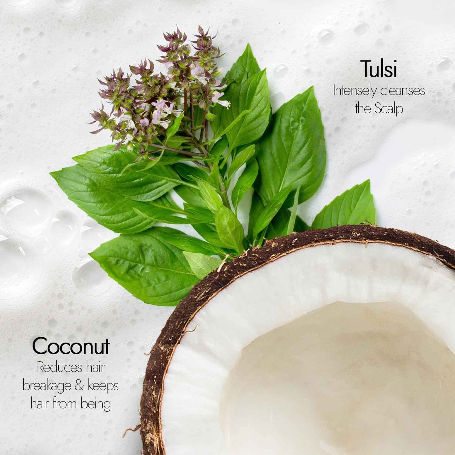Kapiva Tulsi Anti Hairfall Shampoo | Fights Hard Water Damage & Controls Hair fall | Reduces Hair Breakage