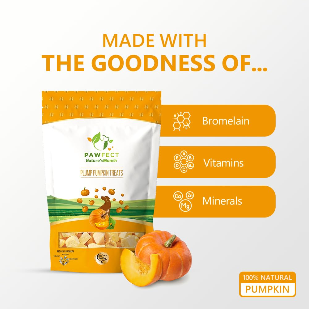 Pawfect Treats Nature's Munch Freeze-Dried Finest Pumpkin Treats for Dogs | Hypoallergenic Dog Treats, Grain-Free | Healthy Dog Treats (20 G),All Life Stages
