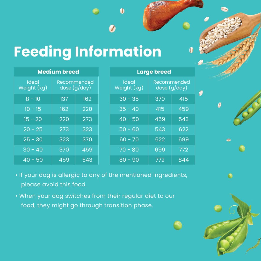 Bark Out Loud Adult Dry Dog Food, Chicken & Ancient Grains | Low Grain Dry Dog Food for Medium & Large Breeds | High Protein Kibbles with Prebiotics, Super Herbs, Antioxidants & Fibre 2 kg | Low Grain, Antioxidants Fibre, Prebiotics & Super Herbs