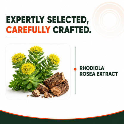 Pure Nutrition Rhodiola Rosea Root Extract (500mg) - 60 Veg Capsules | Standardized to 3% Rosavins & 1% Salidroside | Supports Energy, Focus, Relaxation & Cognitive Health