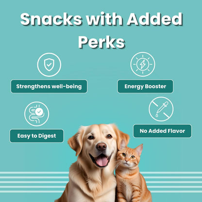 BARK OUT LOUD - Multivitamin Dog Treats, Fresh Chicken Immunity Chewstix with Omega & Zinc to Boost Health & Vitality for Dogs & Cats of All Life Stages - 100g (Pack of 1)