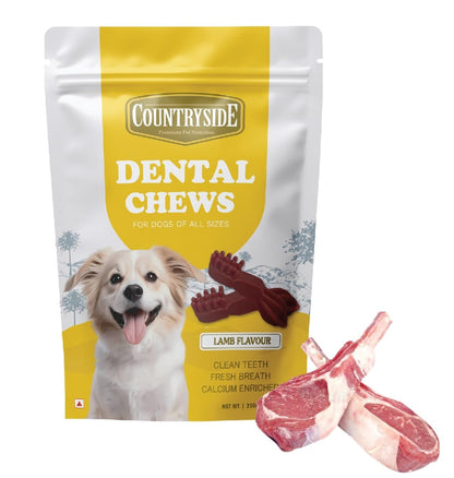 COUNTRYSIDE Dog Dental Chews Treats 250g – Lamb Flavor | Brush-Shaped Chews for Dogs, Oral & Gum Care for Dogs | Fights Plaque & Tartar | Freshens Breath | Calcium Enriched & Gluten Free