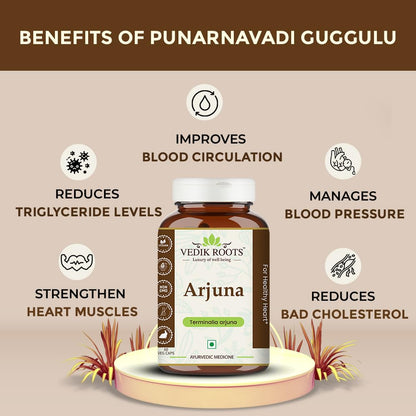 Arjuna 60 Capsules 450 mg Organic | Terminalia Arjuna | For Healthy Heart | Herbal Supplements (Pack of 1)