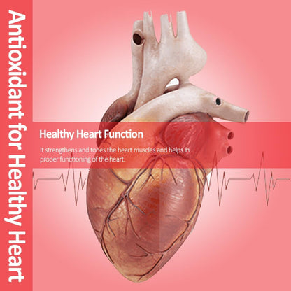Model of a heart with text about antioxidants for healthy heart function on a pink background