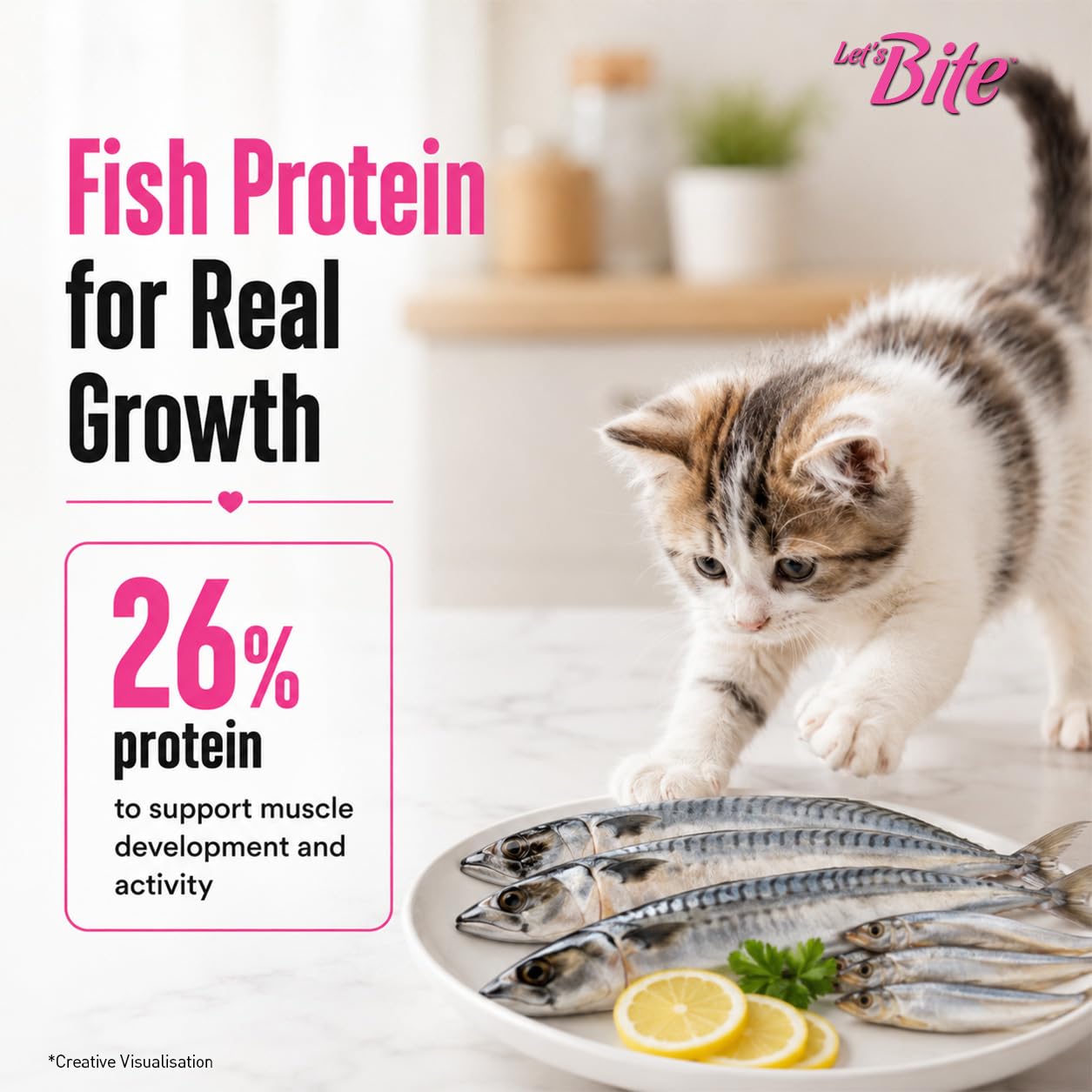 Let's Bite Active Kitten Dry Cat Food, 400 gm Pack