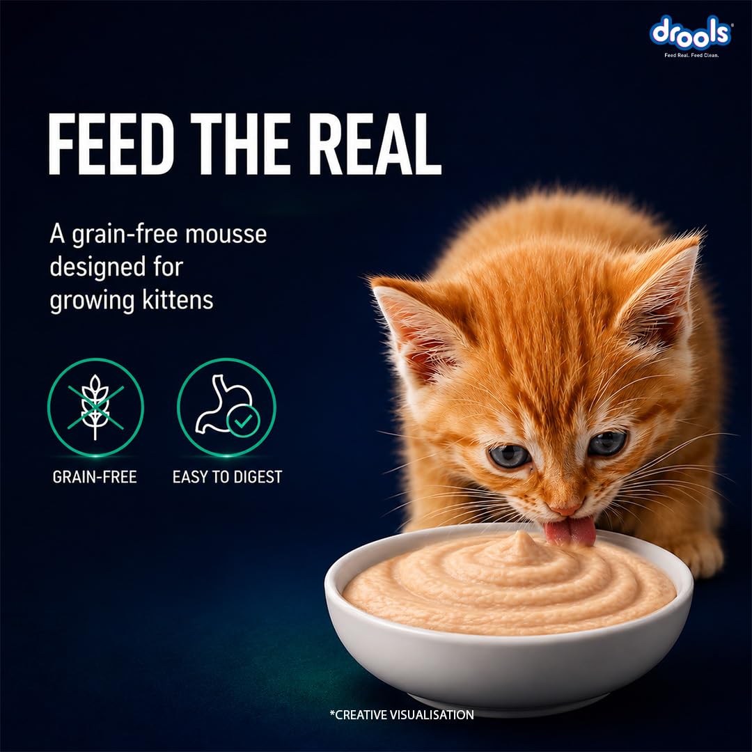 Drools Kitten Wet Mousse 80g | Tuna | High Protein | Promotes Hydration & Easy Digestion | Grain Free | No Artificial Additives | Enriched with Vitamins & Antioxidants