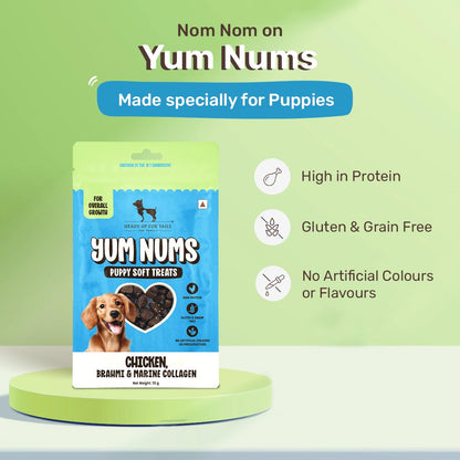 Yum Nums by HUFT Soft & Chewy Sticks - 70 gm| Chicken, Brahmi & Marine Collagen Puppy Treats | Healthy Dog Treats | Training Treats | High Protein, Joint Support