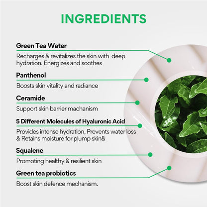 Innisfree Green Tea Seed Moisturiser with Hyaluronic Acid 50Ml| Hydrating & Soothing Face Cream | Non oily & Sticky | Korean Skincare for Dry & Dehydrated Skin For Dry Skin, Normal & Sensitive Skin