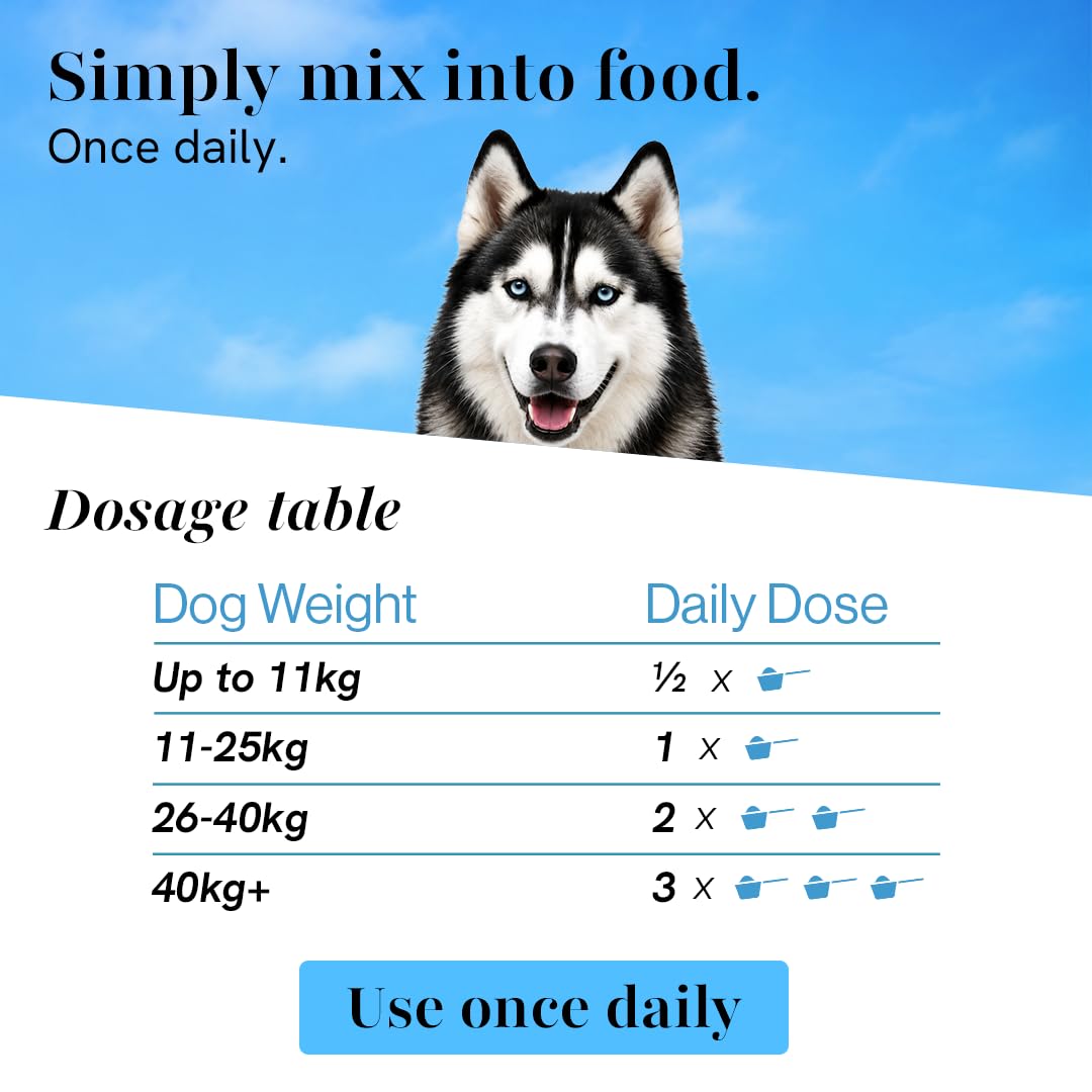 Winni Skin & Coat Supplement for Dogs | Supports Healthy Skin, Coat Shine & Natural Immunity | Chicken Flavor | Suitable for Puppies, Adult & Senior Dogs | Natural Formula | 120g