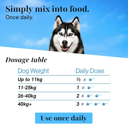 Winni Skin & Coat Supplement for Dogs | Supports Healthy Skin, Coat Shine & Natural Immunity | Chicken Flavor | Suitable for Puppies, Adult & Senior Dogs | Natural Formula | 120g
