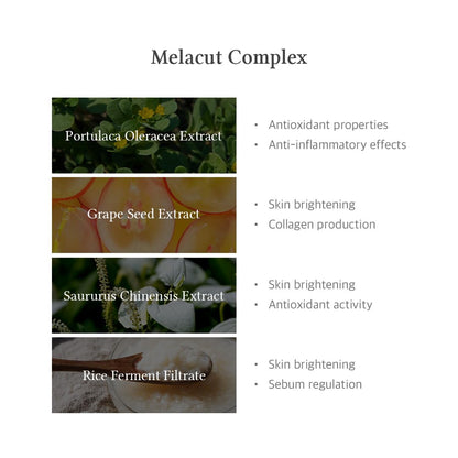 Melacut Complex with images of extracts and their benefits on a white background