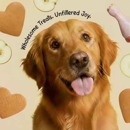 PETS EMPIRE BARKBITES Chicken & Apple Biscuit Jar for Dogs 350g – Healthy Dog Treats with No Maida, No Sugar, No Salt – Nutritious & Crunchy Biscuits for Training and Rewards