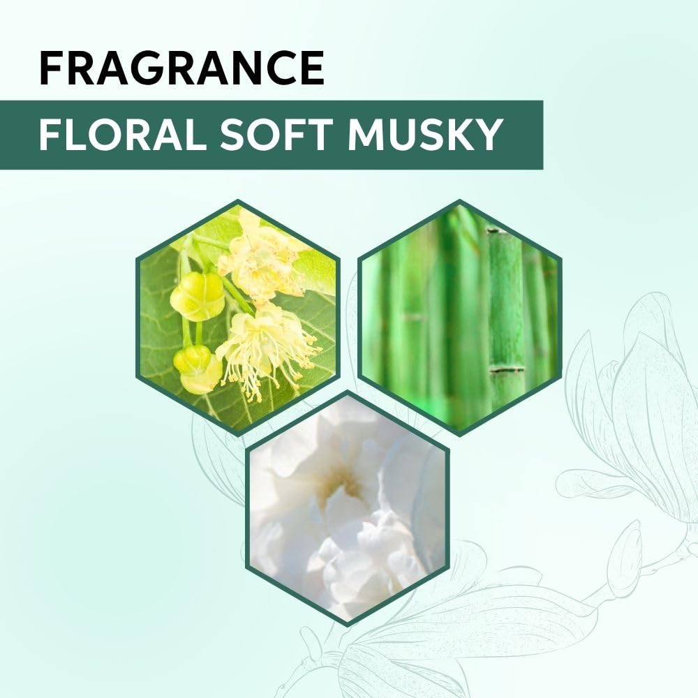 Hexagonal panels with floral and soft musky elements on a light green background, labeled 'Fragrance Floral Soft Musky'.