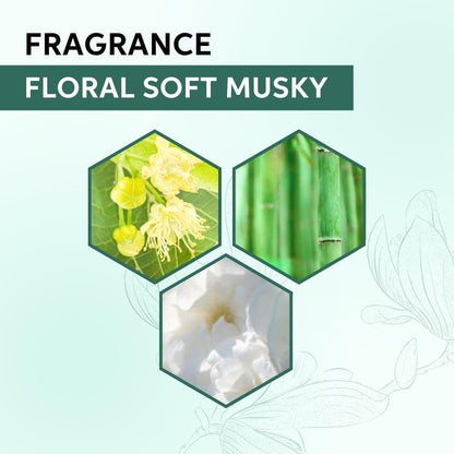 Hexagonal panels with floral and soft musky elements on a light green background, labeled 'Fragrance Floral Soft Musky'.