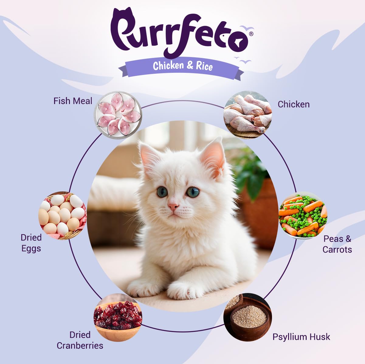 Purrfeto Kitten Dry Cat Food | Chicken & Rice | 1.2 kg |40% Reduction in Urinary Tract Diseases | Promotes Brain & Vision Development | Enhances Immunity |Improves Digestive Health