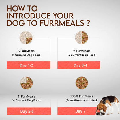 FurrMeals Wet Dog Food | Lamb and Brown Rice | Pack of 1 x 300g | All Breed | Gluten Free | Preservative Free | Ready-to-Eat Fresh Dog Food,Adult