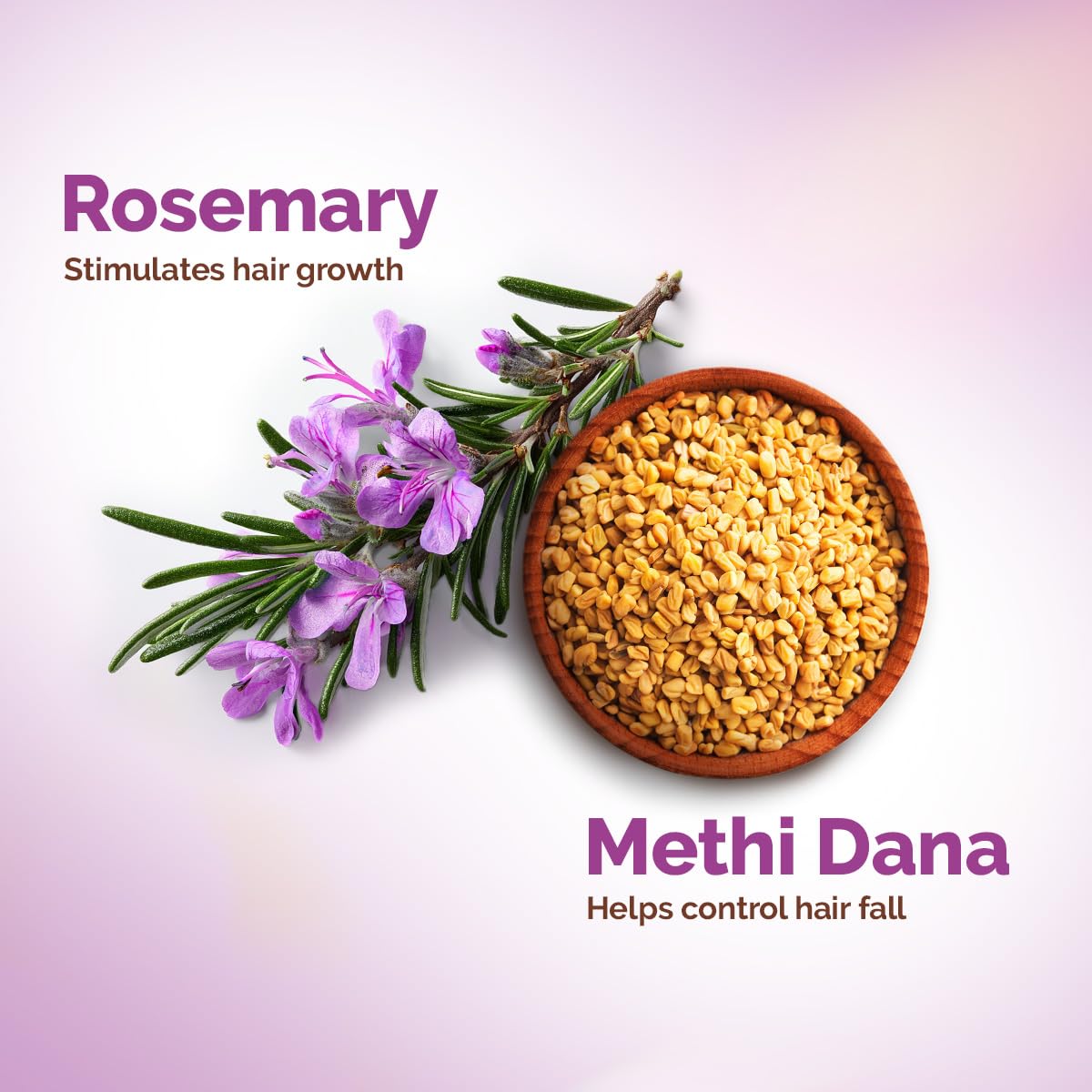 Mamaearth Rosemary Anti-Hair Fall Shampoo With Rosemary & Methi Dana For Reducing Hair Loss & Breakage,Gives Up To 94% Stronger Hair,Up To 93% Less Hair Fall |Sulphate Free Shampoo |For Unisex,600 Ml