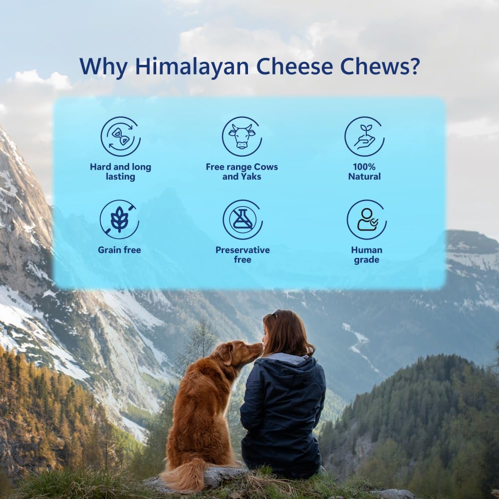 Pawfect Himalayan Yak Cheese Chews for Small Dogs - 100% Natural, Long-Lasting Cheese Bone - Rich in Protein & Calcium - Daily Dental Treat- Plaque Off & Tartar Control- Pack of 3 (100g/3.53oz)