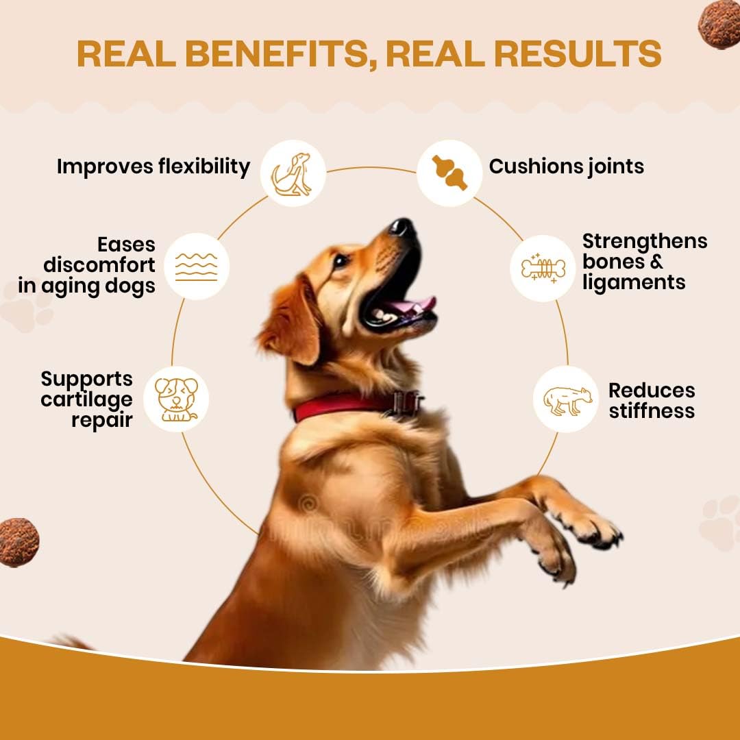 TailsAlive Hip & Joint Soft Chews Supplement for Dogs | Glucosamine, Chondroitin, MSM| for Mobility & Flexibility | Chicken Flavor | 30 Soft Chews