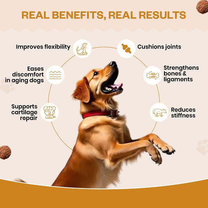 TailsAlive Hip & Joint Soft Chews Supplement for Dogs | Glucosamine, Chondroitin, MSM| for Mobility & Flexibility | Chicken Flavor | 30 Soft Chews