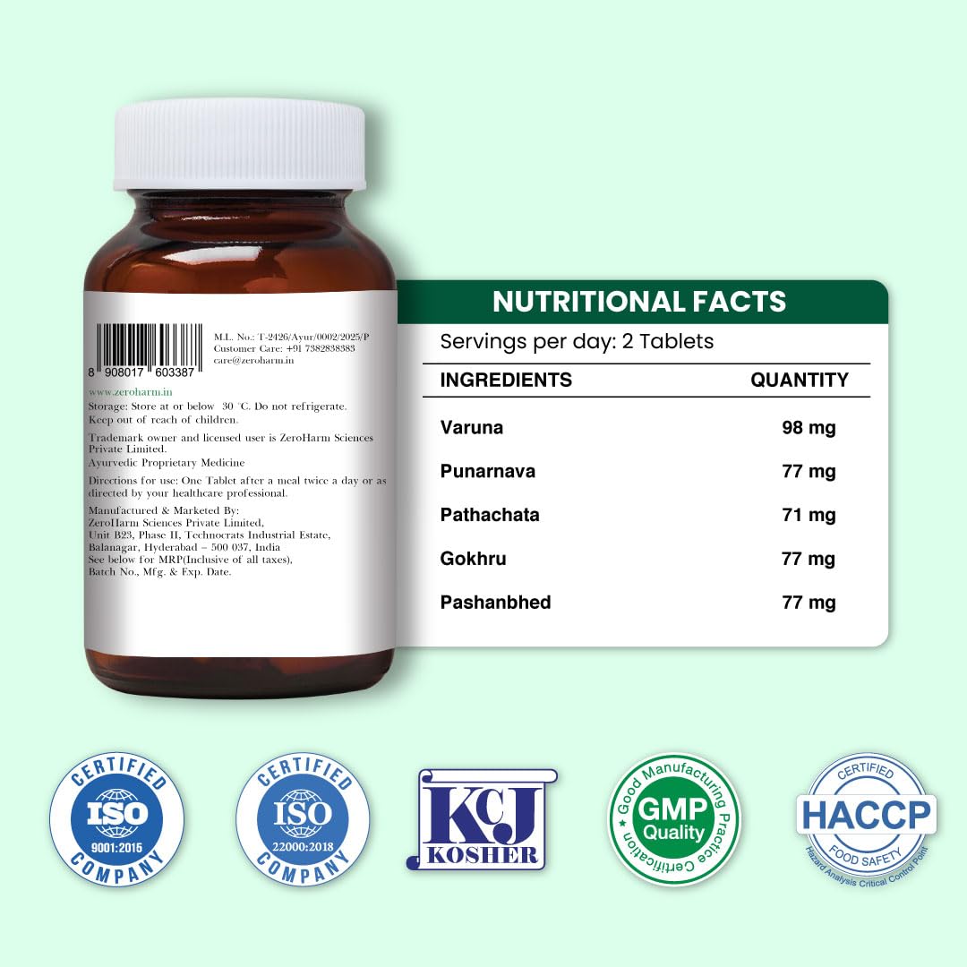 ZEROHARM Holo Kidney Detox | Herbal Creatinine & Kidney Support with Varuna, Punarnava,Pathachata | Kidney Detox & Cleanse for Men & Women | Nano Formulated Ayurvedic Health Supplement - 60 Tablets