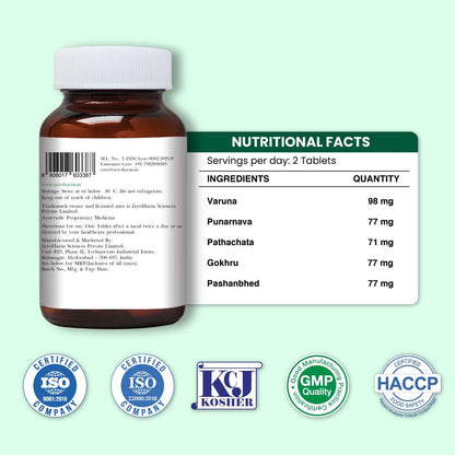 ZEROHARM Holo Kidney Detox | Herbal Creatinine & Kidney Support with Varuna, Punarnava,Pathachata | Kidney Detox & Cleanse for Men & Women | Nano Formulated Ayurvedic Health Supplement - 60 Tablets