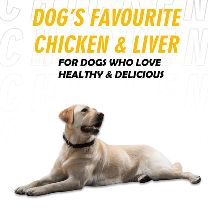 Nootie Wet Gravy for Dog Natural Ingredients, Easy to Digest, Enhances Dog Food, Dog Food Topper | Picky Eater & Appetite Booster Chicken & Liver Gravy-70gm