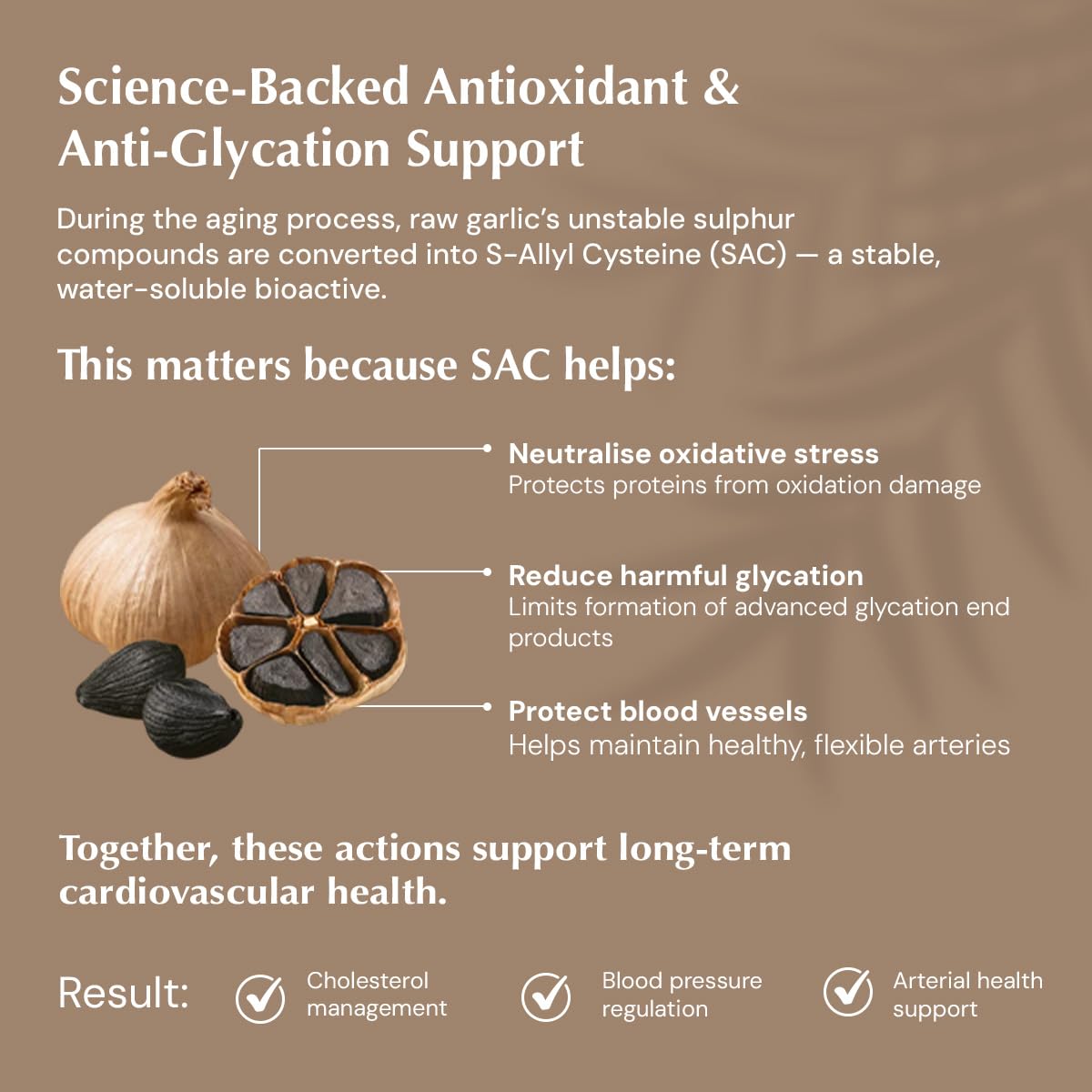 B'spoke Aged Black Garlic | Odourless Extract Standardized to 0.5% S-Allyl Cysteine (SAC) | Garlic Bulb Derived | Enhanced Bioavailability for Antioxidant & Cardiovascular Support | Gentle on Stomach