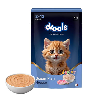 Drools Kitten Wet Mousse 80g | Ocean Fish | High Protein | Promotes Hydration & Easy Digestion | Grain Free | No Artificial Additives | Enriched with Vitamins & Antioxidants