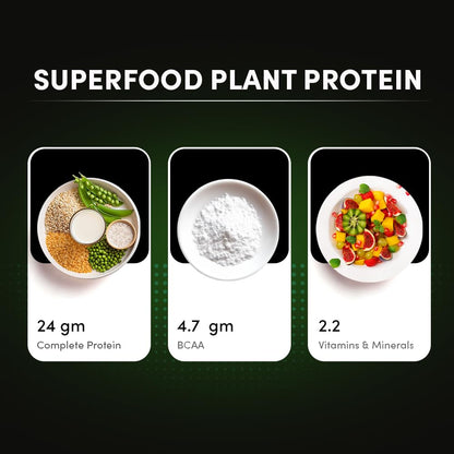 Man Matters VEGAIN Plant Protein Powder for Men | 100% Vegetarian | Made with Pea, Brown Rice, Moong Bean and Whole Algae | Gluten Free, Dairy Free & Soy Free | 500 grams