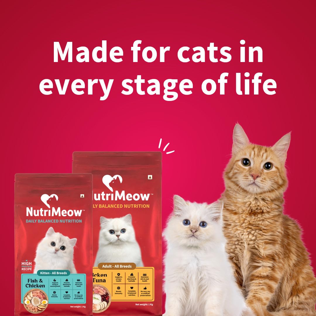 NutriMeow Kitten Dry Food with Fish & Chicken - 1 kg | Complete Growth Formula for All Breeds | Rich Protein, Essential Vitamins, Mineral Support | Complete Meal for All Breeds