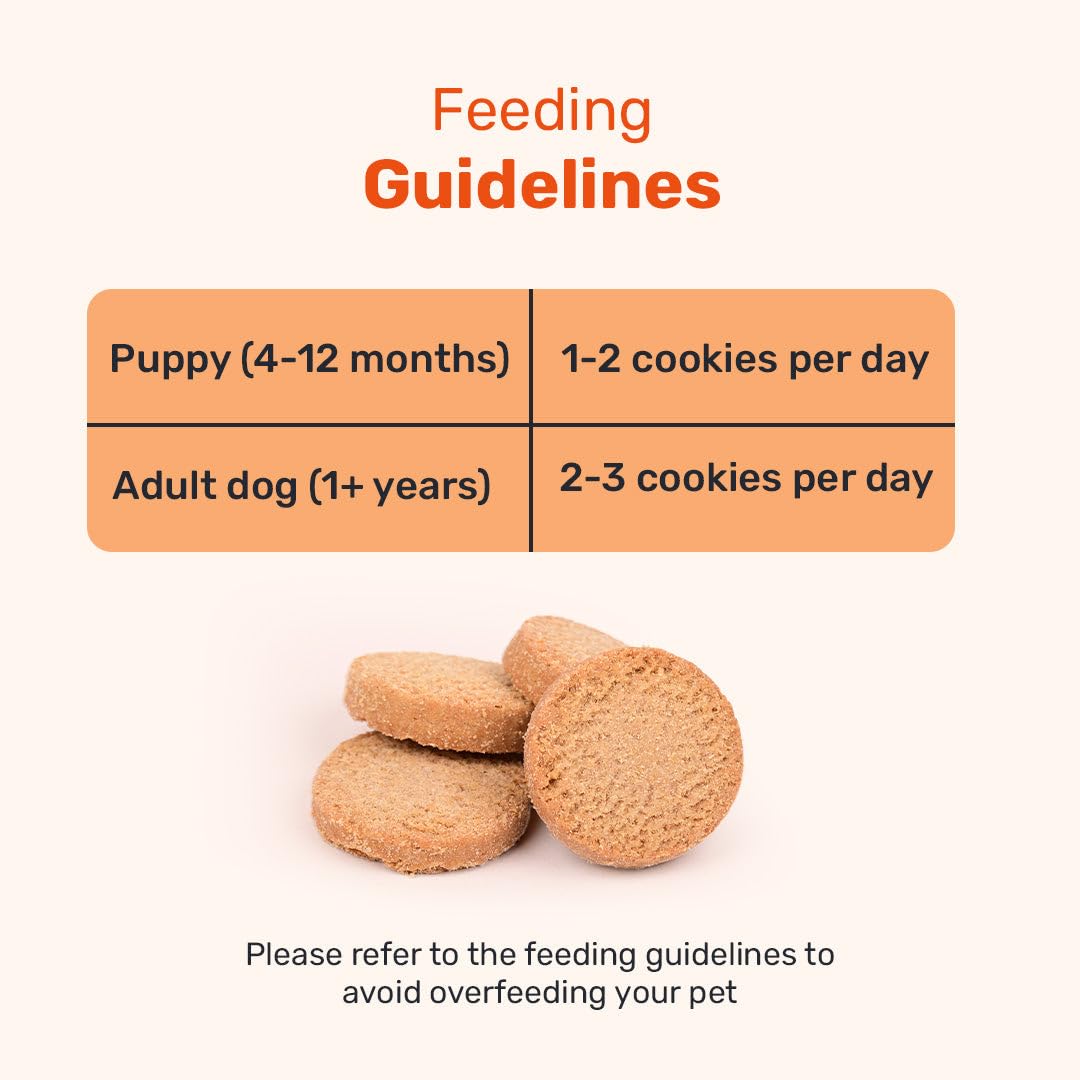 Yummy in My Tummy by HUFT Chai Time Coconut Dog Biscuits – 200 gm | Gluten-Free Vegetarian Crunchy Treats for Puppies & Adult Dogs | Healthy Snack | Suitable for All Breeds Dogs