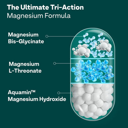 OZiva Magnesium Triple Complex for Muscle, Sleep and Nerve Function | With Aquamin Mg, Glycinate, Magnesium L-Threonate & Bisglycinate | 60 Vegetarian Tablets