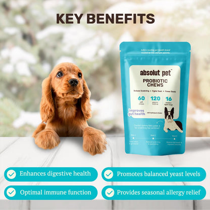 Absolut Pet Probiotic Chews for Dogs, Gut Health & Itch Relief | 60 Chews | Daily probiotic support for digestion & balanced gut flora; helps reduce scratching, paw-licking & itching in dogs.
