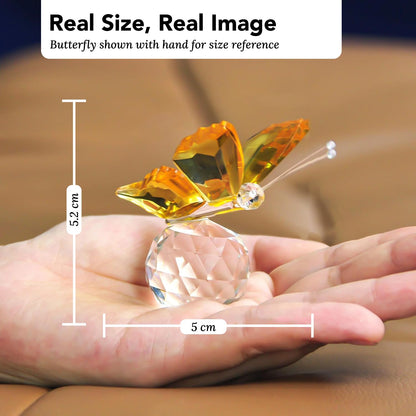 Nostrae Crystal Butterfly Show Pieces for Home Decor Living Room Decorative Items | Glass Showpieces Gift Items for Decoration | Center Table Tv Showcase Office Desk Interior Figurines