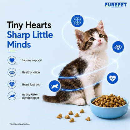 Purepet Kitten Dry Cat Food 1.2kg | Ocean Fish Flavour | Supports Active Behaviour | Hairball Control | Urinary Tract Health | Nutrient-Rich with Essential Minerals
