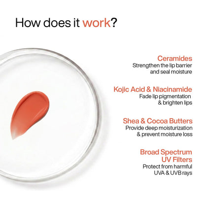 WishCare Tinted Lip Balm SPF 50 PA++++ | Brightening Lip Balm for Dark Lips | In-Vivo Tested | Kojic Acid & Niacinamide | For Women | 5g (Coral Peach)