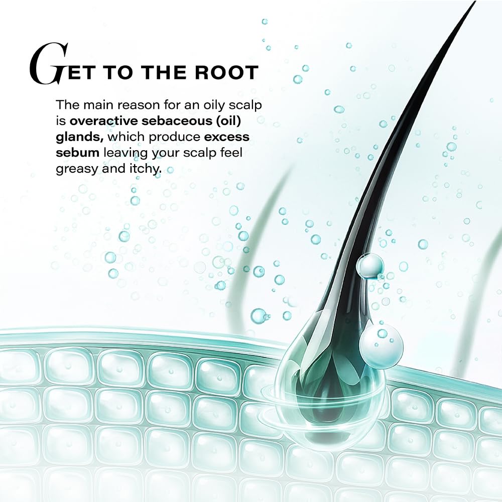 Illustration of a hair follicle with text about oily scalps and sebum production.