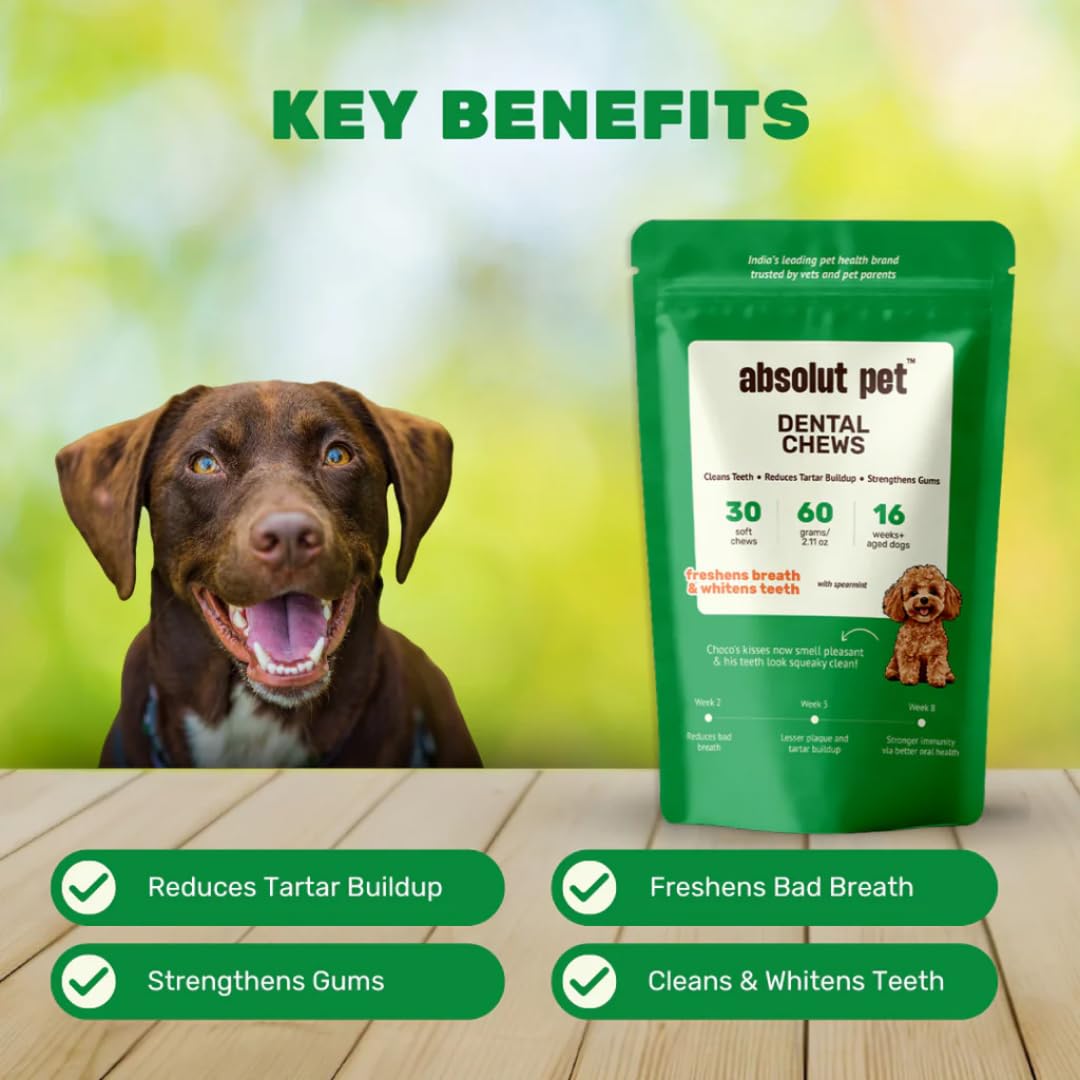 Absolut Pet Dental Chews for Dogs, Plaque, Tartar & Breath Aid | 30 Chews | Daily dental chews that reduce plaque & tartar build-up, freshen breath & support healthy gums in dogs.