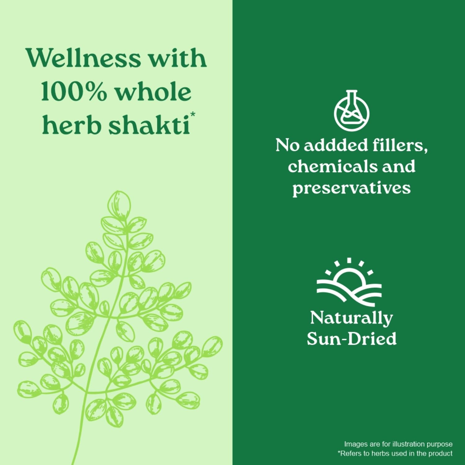 Promotional graphic for 'Wellness with 100% whole herb shakti' on a green background with text about natural ingredients.