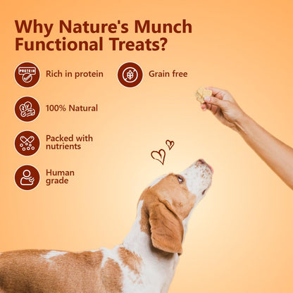Pawfect Nature's Munch Freeze-Dried Cheese Functional Treats for Dogs- Daily Chomp - 100% Natural- High Protein, Low Fat- 8 Calories per Treat- Grain-Free- Healthy Training Treat(75g/2.65oz)
