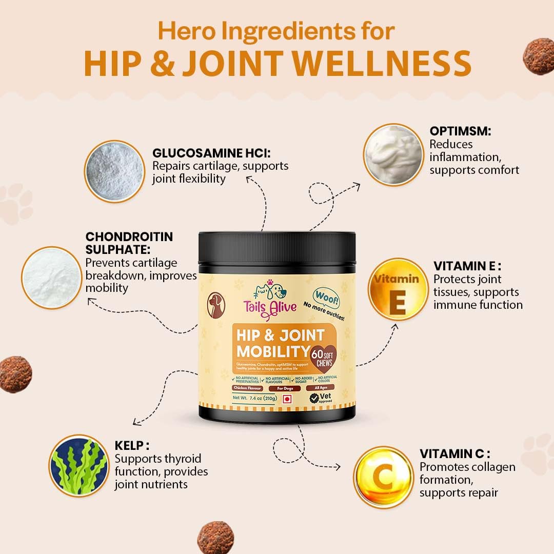 TailsAlive Hip & Joint Soft Chews Supplement for Dogs | Glucosamine, Chondroitin, MSM| for Mobility & Flexibility | Chicken Flavor | 60 Soft Chews