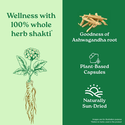 A TATA Product - Organic India Pure Ashwagandha Root Capsules - 60 Veg Caps (400mg), For Vitality & Relieves Stress, Naturally Boosts Energy & Stamina, Improves Immune System, GMP & NPOP Certified