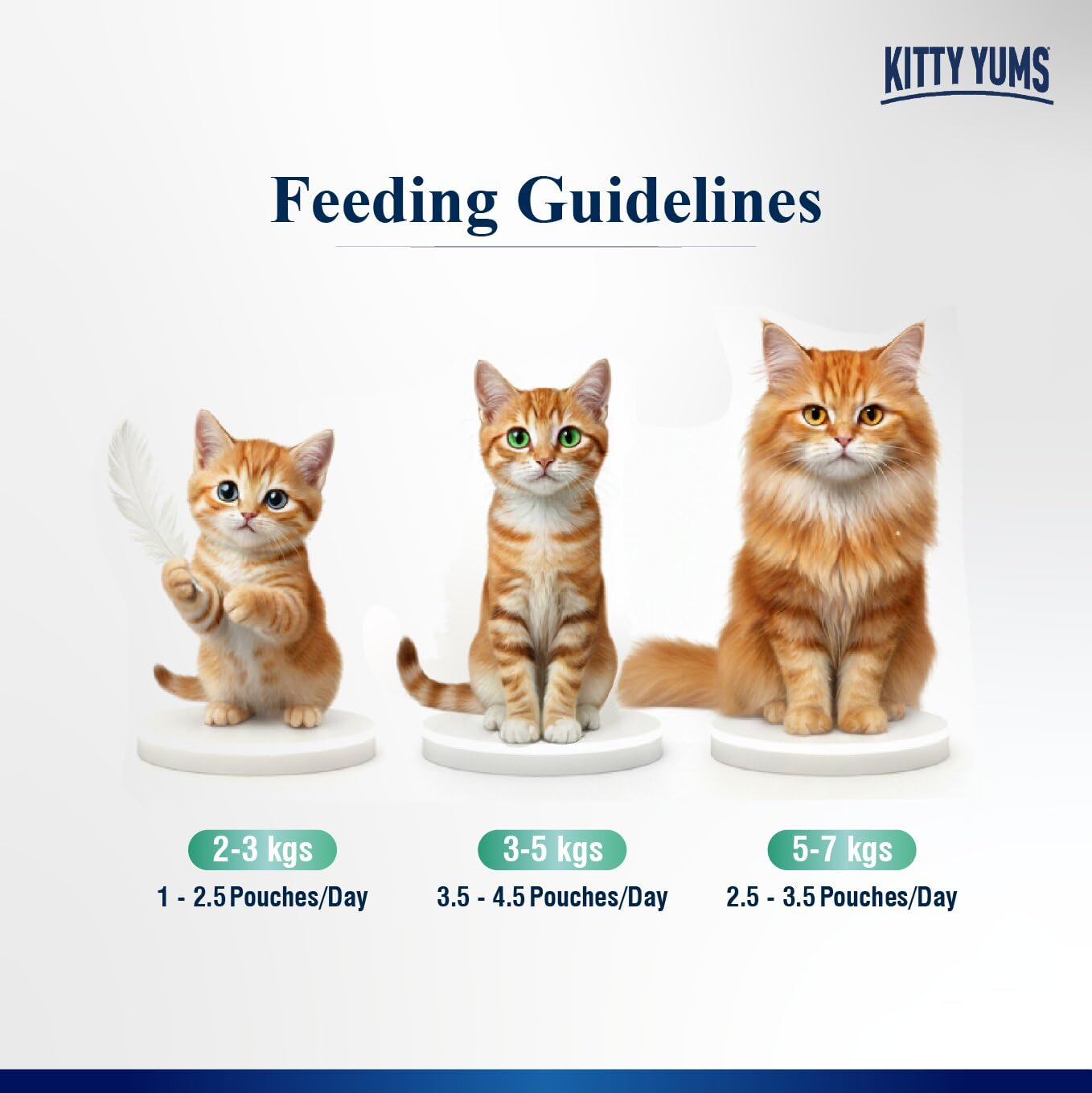 Kitty Yums Adult Cat Wet Mousse 80g | Tuna | Rich in Protein | Promotes Hydration & Easy to Digest | Grain Free | No Artificial Flavours | Packed with Essential Vitamins & Antioxidants