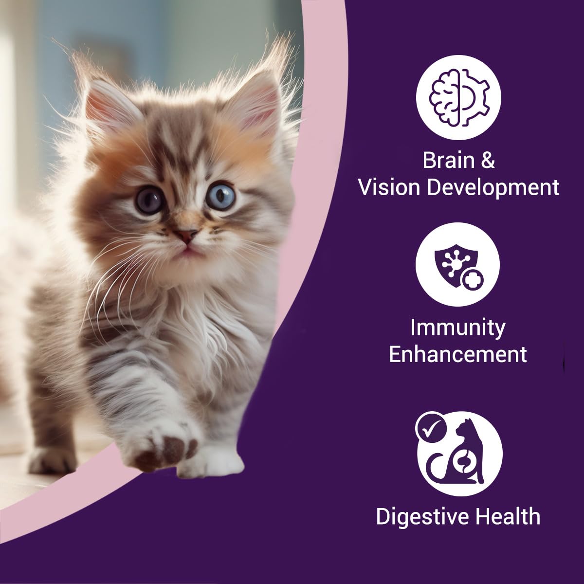 Purrfeto Kitten Dry Cat Food | Chicken & Ocean Fish | 1.2 kg | 40% Reduction in Urinary Track Diseases |Promotes Brain & Vision Development | Enhances Immunity | Improves Digestive Health