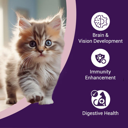 Purrfeto Kitten Dry Cat Food | Chicken & Ocean Fish | 1.2 kg | 40% Reduction in Urinary Track Diseases |Promotes Brain & Vision Development | Enhances Immunity | Improves Digestive Health