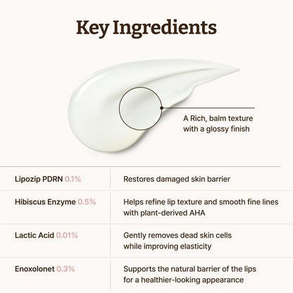Dr.Reju-All Advanced PDRN Rejuvenating Lip Serum | Hydrating Lip Balm with Lipozip PDRN for Glowy, Dewy Lips | Gentle Exfoliating & Smoothing Lip Moisturizer (10ml)