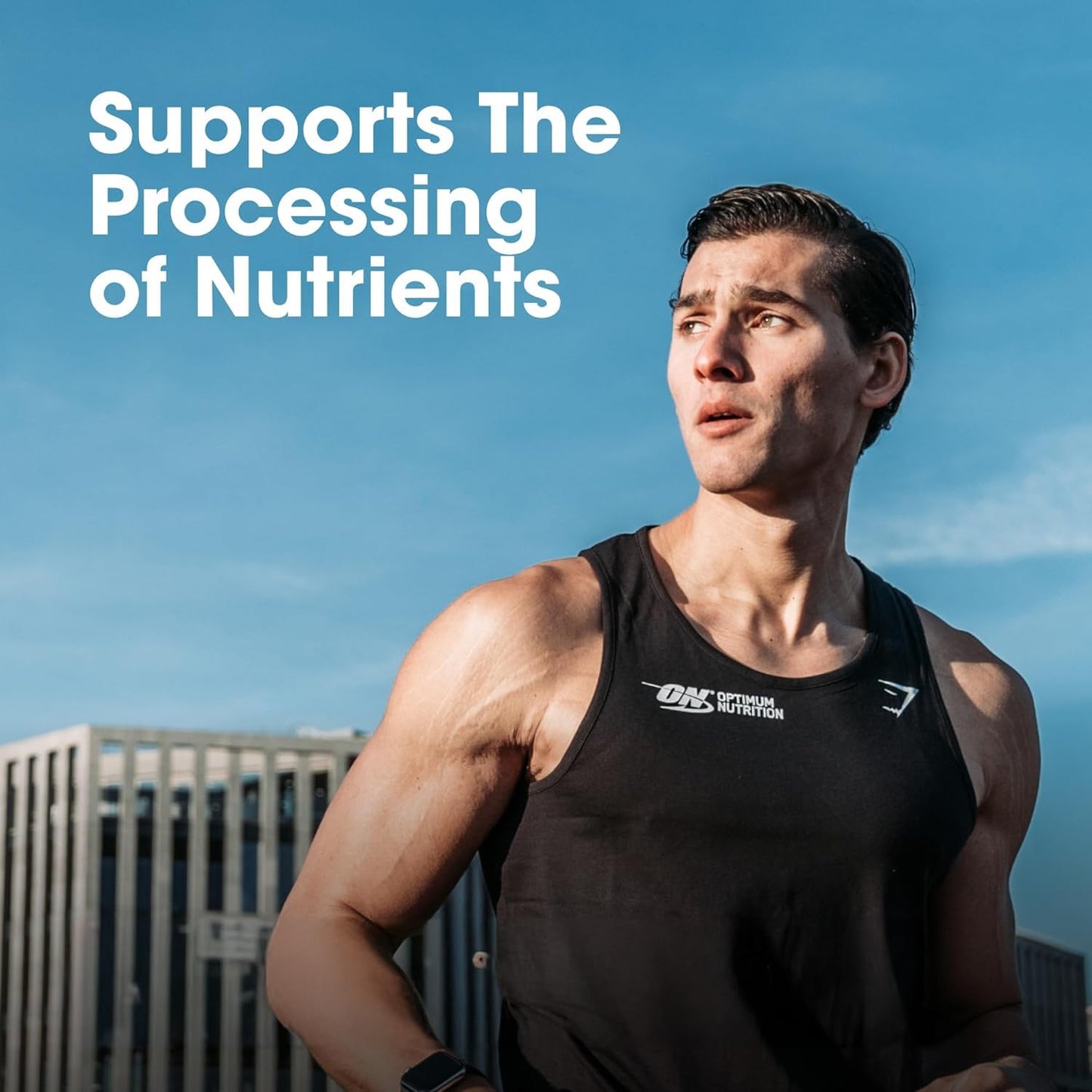 Optimum Nutrition (ON) Multivitamin for MEN– 60 Tablets, 26 Vitamins & Minerals, Amino Acids & Anti-Oxidants (Green Tea Extract, Beta Carotene, Lutein, Lycopene). Vegetarian.